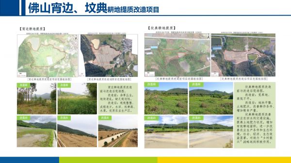 美丽乡村项目20220906_03.jpg